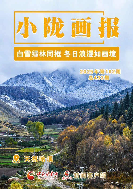 【小隴畫(huà)報(bào)·433期】天祝哈溪：白雪綠林同框 冬日浪漫如畫(huà)境